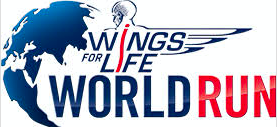 wingsforlife logo